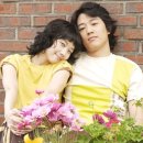 옥탑방 고양이 이미지