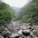 2019년 7월27일미천골 자연휴양림 숲길 트레킹 이미지