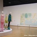 쌈지비디오 이미지