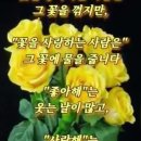 더 파워 오브 러브 이미지