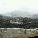 마이바베큐캠프 이미지