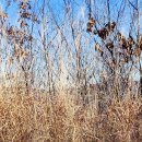 01-18 동구 이미지