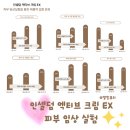 인셀덤 star 이미지