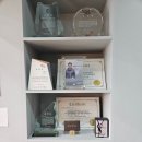 채플린안경콘택트(금암점) 이미지