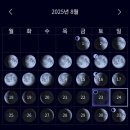 강릉별밤투어 | 강릉 별밤투어 후기 🌠
