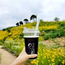 다양한 맛과 감성적인 공간이 공존하는 미식 명소, 용인 맛집 5곳 이미지