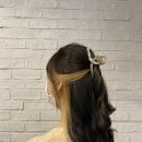 시크릿(secret)헤어 이미지