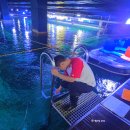 대전아쿠아리움 | 대전 신세계 아쿠아리움 씨워커 후기 언더워터 플레이로 바다 속 체험