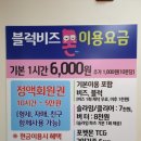 블럭비즈몬 이미지