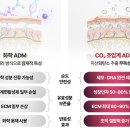 아셀 - 안양시 동안구 평촌대로374번길 9-7 | 아셀