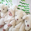 그린수지 이미지