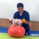 메디칼케어센트럴 이미지