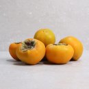 오늘도 신선 이미지