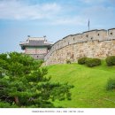 90 | 카메라 접사렌즈 추천 탐론 90mm 90마 매크로렌즈 후기