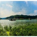 문골 티스토리