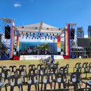 당산 신나무의 노래 이미지