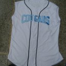 Cougars 이미지