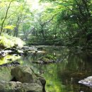 남조로 사려니숲길입구 이미지