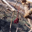 미자농장 이미지