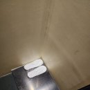 부띠크호텔락희 | 대전 출장 둔산동 호텔 락희 숙박 후기
