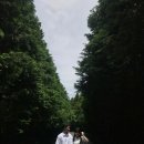 기명목장 이미지