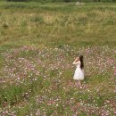 백곡천2 이미지