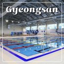 경산수영장 | 경산수영장 자유수영 후기 입장권 가격 운영시간 주차