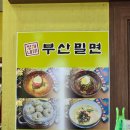 포항 밀면맛집, 정가네 부산밀면에서 만두먹은 후기