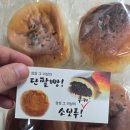 수빵소 | 천안 수빵소(수제빵연구소) 단팥빵 배송후기🍞✨