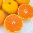 비타민C가 사과에 8배로 풍부한 귤 효능,부작용 이미지