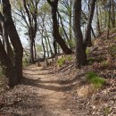 솔빛공원 2 이미지