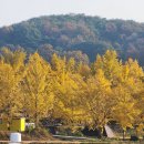 개척농업회사법인 주식회사 이미지