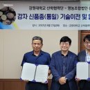 강원대구내스포츠