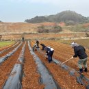 삼태산농촌체험휴양마을 이미지