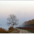 곡교천길 이미지