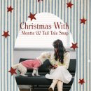 Hi 몽 | 러프씨, 테일테일 스냅 연말 촬영 현장에 다녀오다 | 크리스마스 무드 스틸컷 촬영 후기