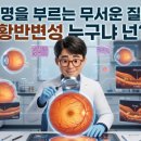 가톨릭안경원 네이버블로그