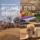 11305-8-300-1 | 300평 에어바운스가 있는 용인 캠핑야미 바베큐 감성 캠프닉