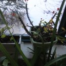 열미리보건진료소 이미지