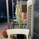 펍피맥 - 의정부시 시민로122번길 9-15 | 펍피맥