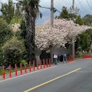 회수동-4 이미지