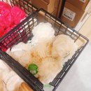 더바디샵 추천템_ 하남스타필드 The body shop 선물도 사고 최애템쇼핑하고 온 후기