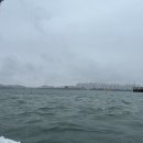 청양시장호스릴-1 | 안반가워! 서해 쭈꾸미낚시 솔직후기 (ㅇㅊ유선 ㅂㄱㅇ호)