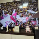 LG Twins 준 플레이 오프 고우 !!! 이미지