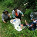 산골염소농장 이미지