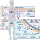 송도본한의원 이미지