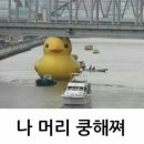 루나프로젝트 이미지