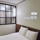 김정문화로 | 제주도 서귀포 가성비 숙소 타마라 제주 프리미엄 당일 예약 후기