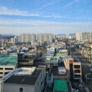 스타즈호텔울산 | (울산 숙소) 울산터미널 및 태화강역 근처 가성비 비즈니스 호텔 &#34;스타즈호텔 울산&#34; 스탠다드 트윈 후기