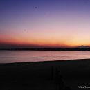 신양섭지코지해변 이미지